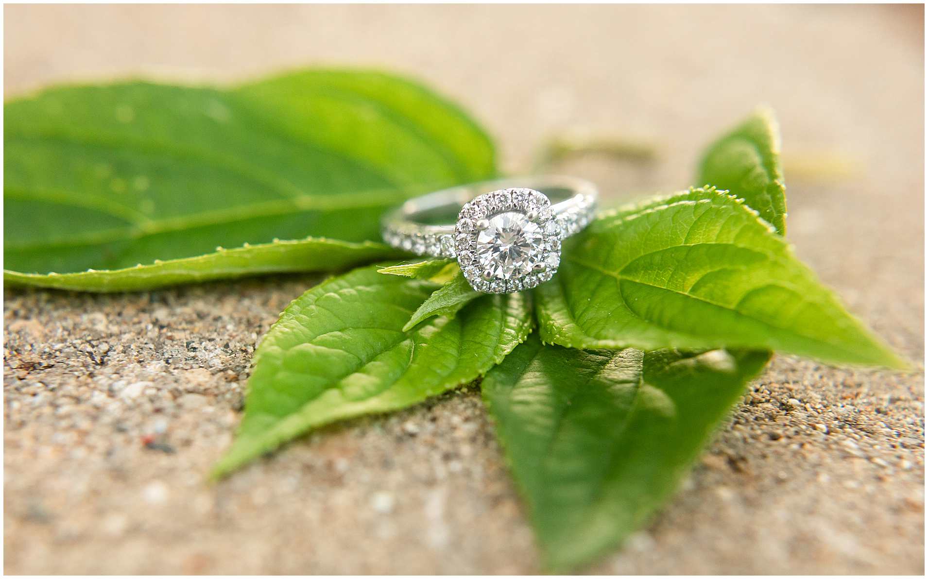 Summer Engagement Photos in Frankfort IL