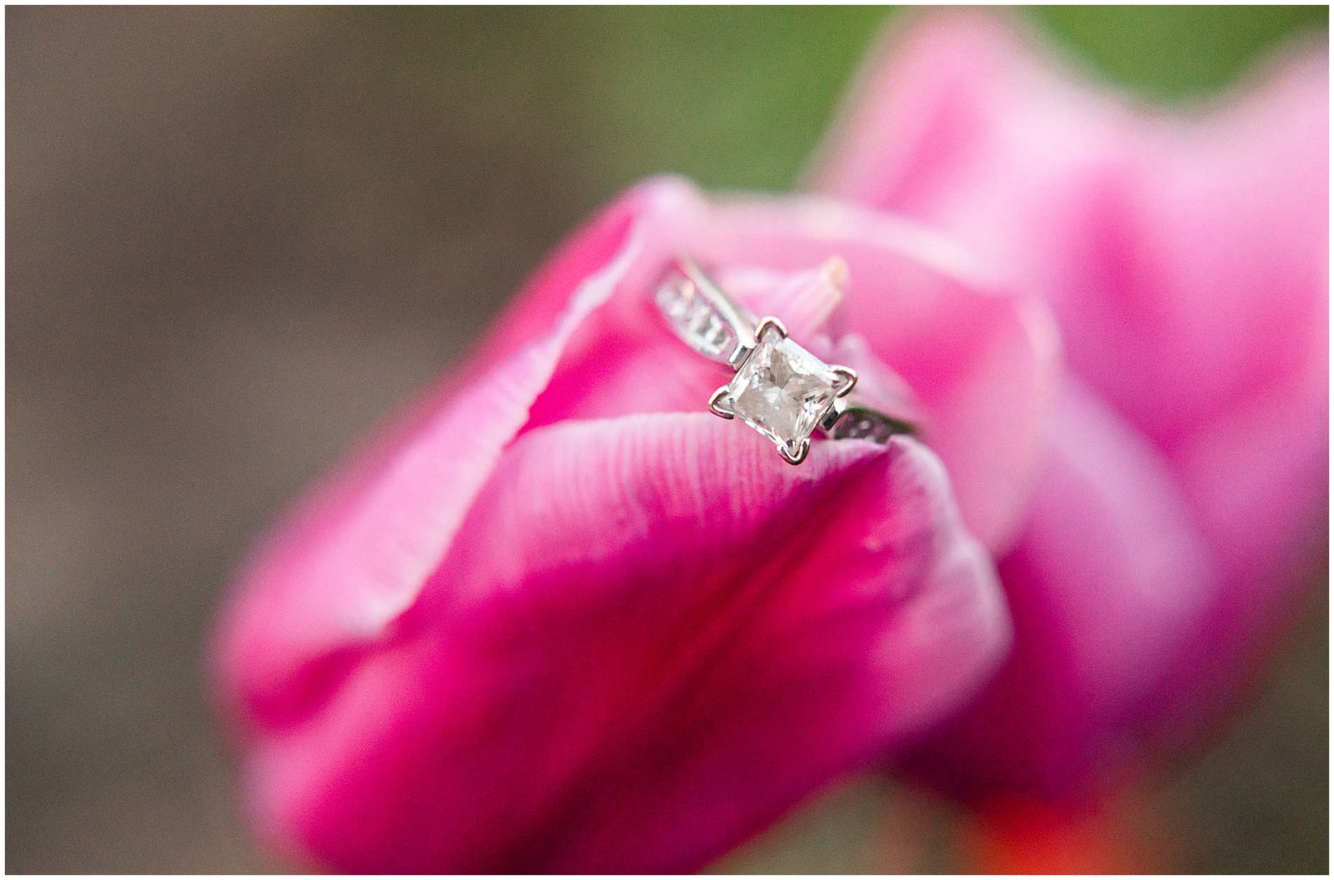 Summer Engagement Photos at the University of Chicago campus in Chicago, Illinois
