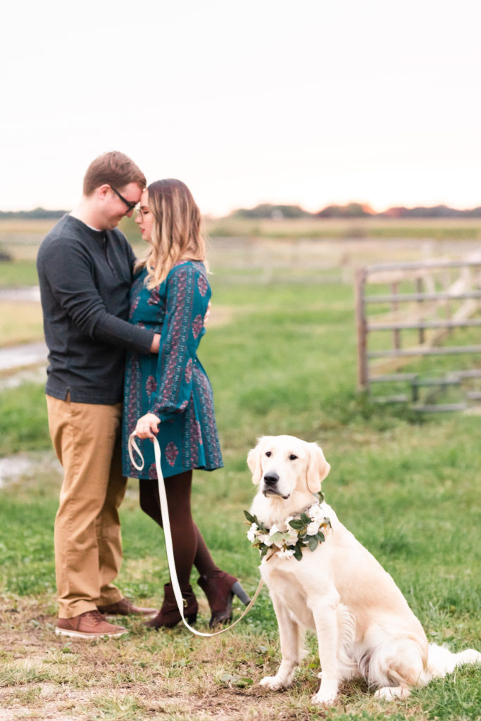 Dog Engagement Photos-Illinois Engagement Photographer