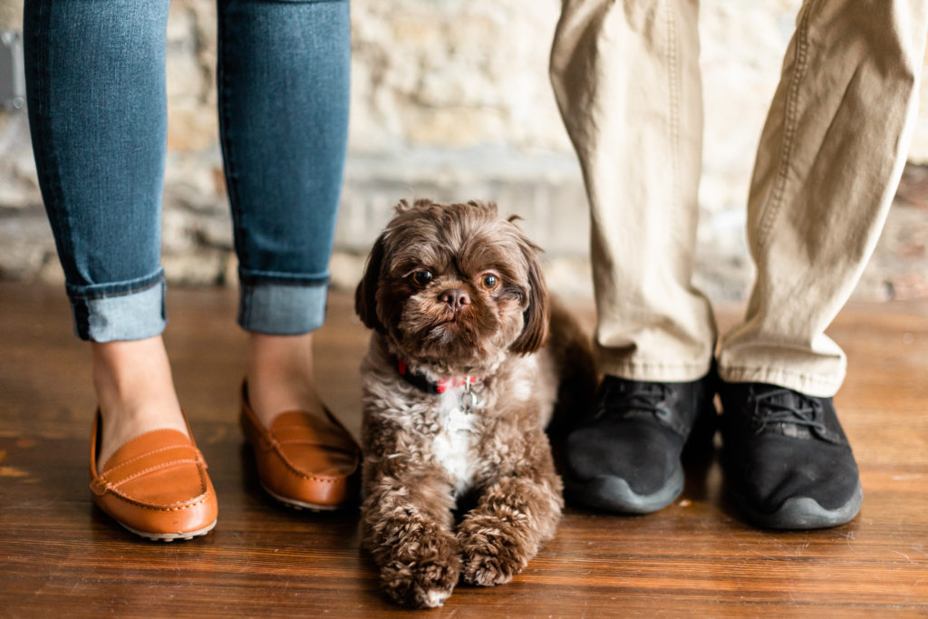 Dog Engagement Photos-Illinois Engagement Photographer
