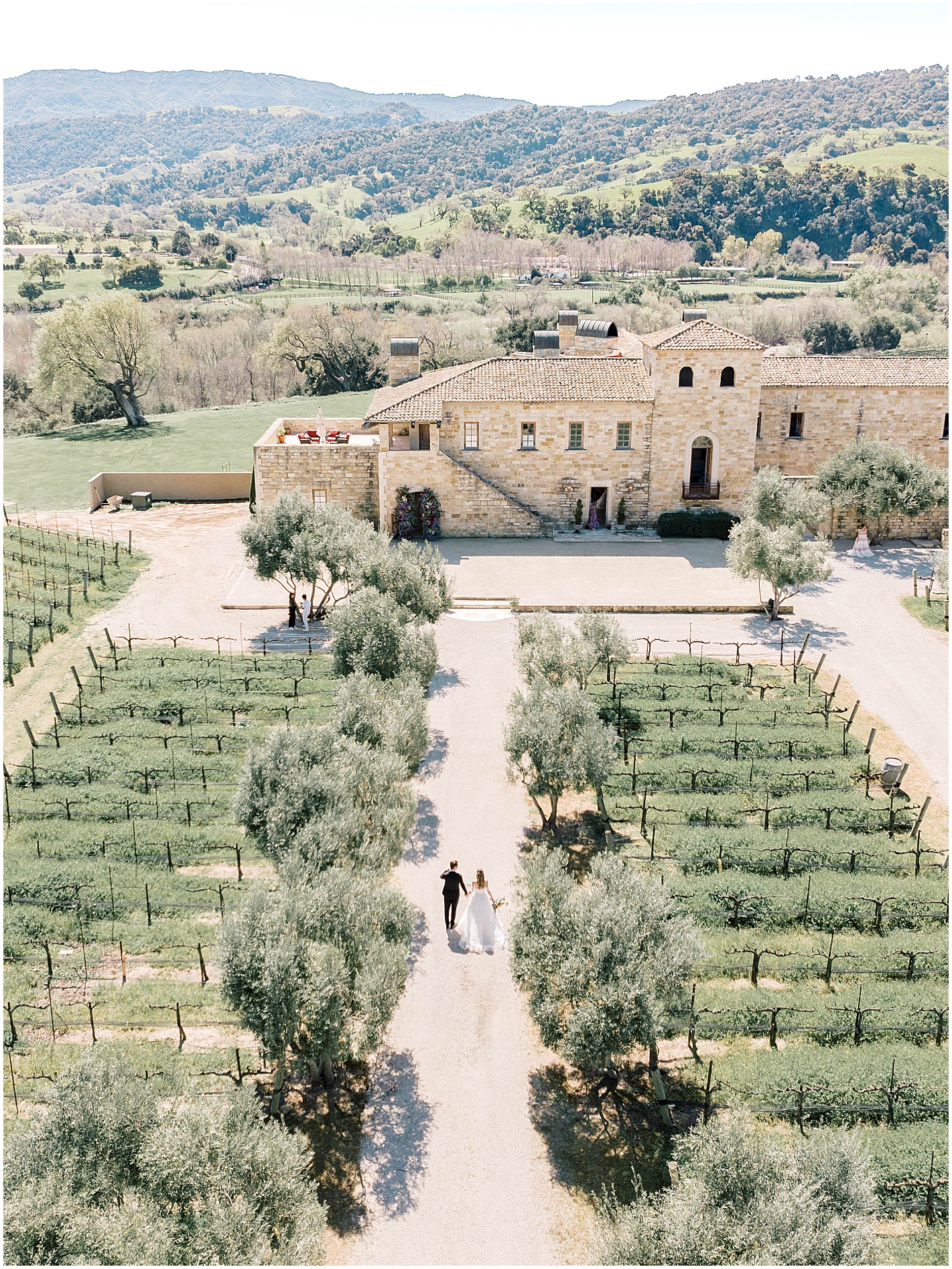 Elle Taylor Photography